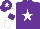 Silk - Purple, White star, White sleeves, Purple armlets, Purple cap, White star