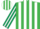 Silk - Emerald Green and White stripes, Dark Green and White striped sleeves