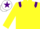 Silk - YELLOW, purple epaulettes & armlet, white cap, purple star