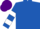 Silk - ROYAL BLUE, white hooped sleeves, purple cap
