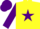 Silk - YELLOW, purple star, purple sleeves & cap