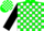 Silk - Green, White Blocks, Black Sleeves,