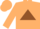 Silk - TAN, tan 'SO' on brown triangle, tan cap