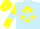 Silk - Light Blue, Yellow Cross of Lorraine, Yellow sleeves, Light Blue armlets and star on Yellow cap