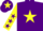 Silk - PURPLE, yellow star, yellow sleeves, purple stars, purple cap, yellow star