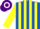 Silk - Royal Blue and Yellow stripes, Yellow sleeves, Purple and White hooped cap