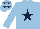 Silk - LIGHT BLUE, dark blue star, dark blue stars on cap