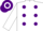 Silk - WHITE, purple spots, hooped cap