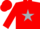 Silk - Red, Black 'D' on Silver Star, Silver