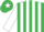 Silk - EMERALD GREEN & WHITE STRIPES, white sleeves, white star on cap
