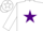 Silk - White, Purple Circled Star, Purple Bars