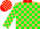 Silk - TAN,  red collar, green blocks, red bars