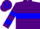 Silk - Purple, blue hoop, purple bar on blue