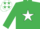 Silk - EMERALD GREEN, white star, white cap, emerald green stars