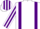Silk - WHITE, purple braces, striped sleeves & cap