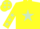 Silk - Yellow, Light Green star, Yellow sleeves, Light Green stars and stars on cap