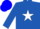 Silk - Royal blue, white star on back, blue cap