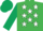 Silk - EMERALD GREEN, white stars, dark green sleeves & cap
