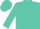 Silk - Turquoise, turquoise 'JS' on white