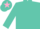 Silk - Turquoise, Pink Star, Turquoise Star