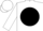 Silk - White, Black disc, White Logo, White Cap