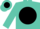 Silk - TURQUOISE, Black disc, Turquoise Logo