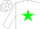 Silk - White, Hunter Green Star, White Sleeves,