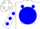 Silk - White, Blue disc, White 'SAL', Blue spots