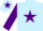Silk - Light Blue, Purple star, sleeves and star on cap