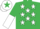 Silk - Emerald Green, White stars, halved sleeves, White cap, Emerald Green star