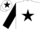 Silk - White, black star, sleeves and star on cap