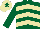 Silk - DARK GREEN & BEIGE CHEVRONS, dark green sleeves, beige cap, dark green star