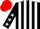Silk - Black and White stripes, Black sleeves, White stars, Red cap