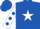 Silk - Royal Blue, White star, White sleeves, Royal Blue spots