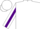 Silk - WHITE, purple stripe on sleeves, white