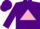 Silk - Purple, pink triangle frame on back,
