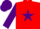Silk - Red, Purple star, sleeves and cap