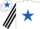 Silk - White, Royal Blue star, Black and White striped sleeves, White cap, Royal Blue star