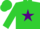 Silk - Lime Green, Purple Star, Purple Band