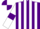 Silk - Purple and White stripes, White sleeves, Purple armlets, Purple and White quartered cap