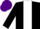 Silk - BLACK, white panel, purple cap