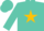 Silk - TURQUOISE, 'DJR' in circled gold star,