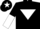 Silk - BLACK, white inverted triangle, halved sleeves, white star on cap