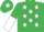 Silk - Emerald Green, White stars, halved sleeves and star on cap