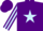 Silk - Purple, Light Blue star, striped sleeves
