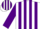 Silk - White, Purple Braces, Purple Stripes on Sleeves