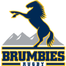 Brumbies